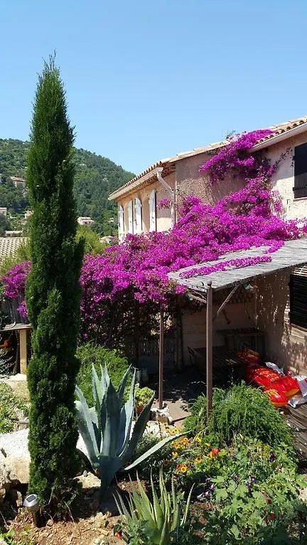 Villa Le Mas du Pic des Fées à Hyères