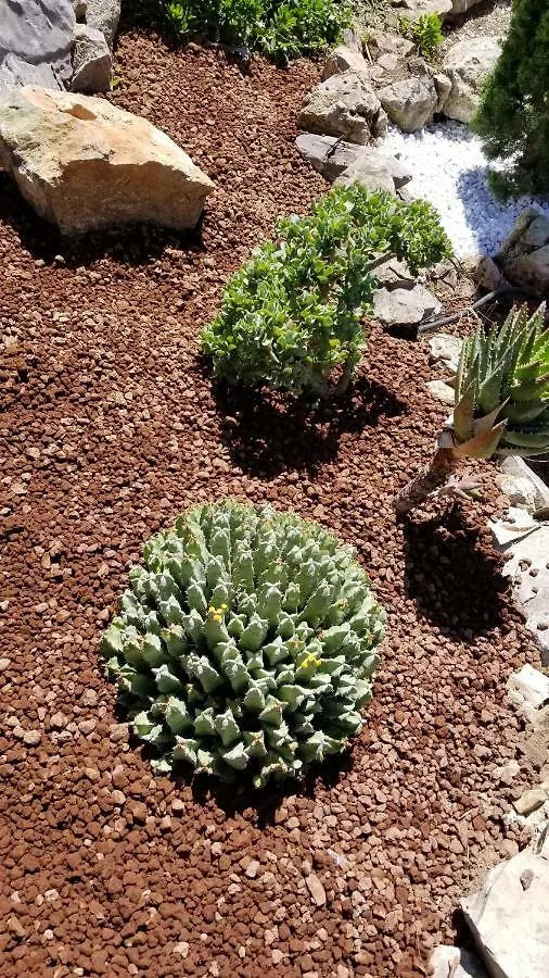 Hébergement de vacances Villa Le Mas du Pic des Fées à Hyères France